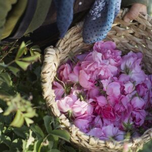 عطر لانكوم ايدول او دو برفان - الصورة 6