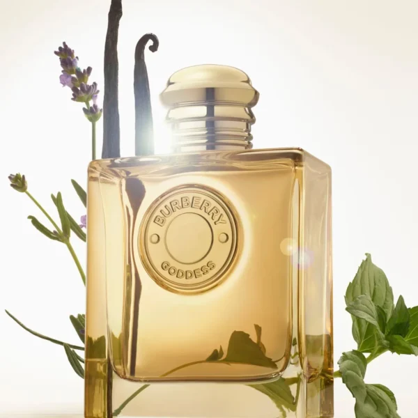 عطر جوديس إنتنس من بربري
