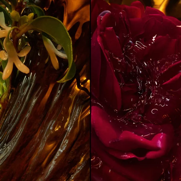 عطر سانتال رويال أو دو بارفيوم من جيرلان
