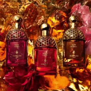 ⁦عطر أبسولو أليجوريا أمبر سمار⁩ - الصورة ⁦3⁩