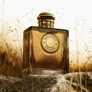 عطر جوديس بارفيوم من بربري