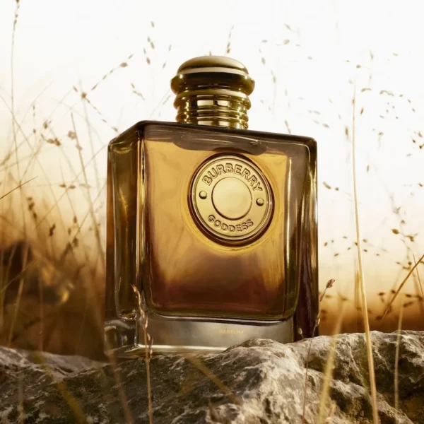 عطر جوديس بارفيوم من بربري