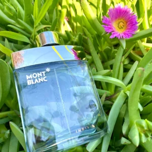 عطر انديفيدوال من مونت بلانك للرجال