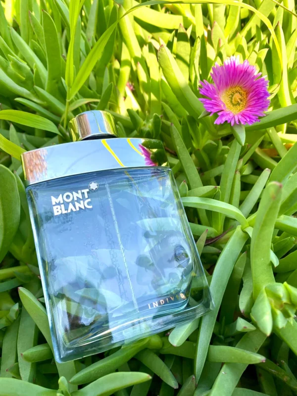 عطر انديفيدوال من مونت بلانك للرجال