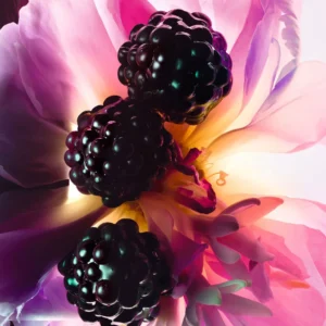 عطر ميس ديور إيسنس