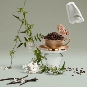 ⁦ذا بيوتشينج ياسمين اودي بارفان 75مل⁩ - الصورة ⁦4⁩
